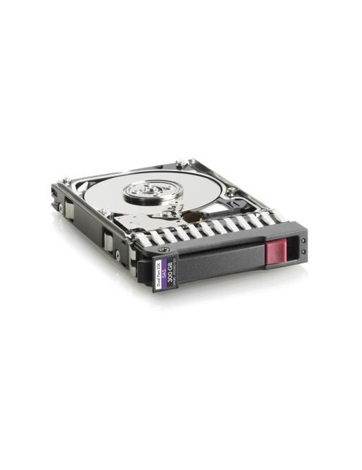 493083-001 493083-001 Hewlett Packard Enterprise 300GB hot-swap dual-port SAS, 10k rpm, 2.5" Server/workstation