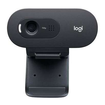 960-001372 LOGITECH webcam C505E HD