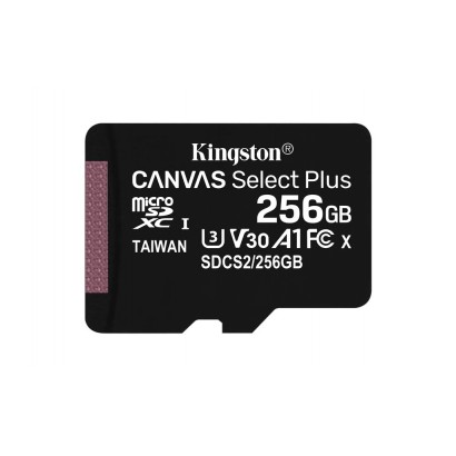 SDCS2/256GBSP KT 256GB mSDXC 100R A1 NO ADP