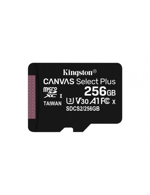 SDCS2/256GBSP KT 256GB mSDXC 100R A1 NO ADP