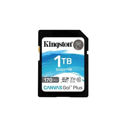 SDG3/1TB KT 1TB SDXC UHS-I U3 V30