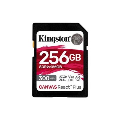 SDR2/256GB KT 256GB mSDHC