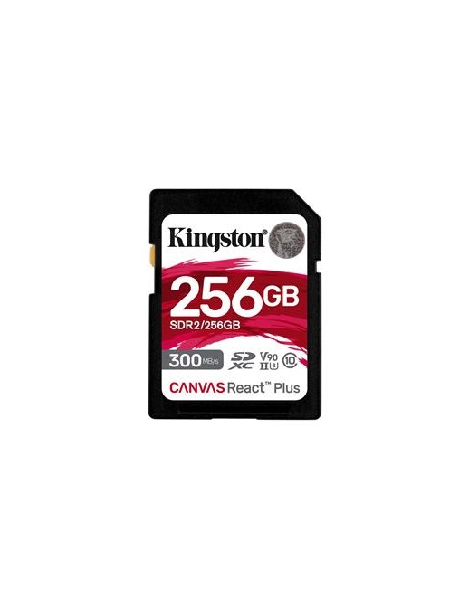 SDR2/256GB KT 256GB mSDHC