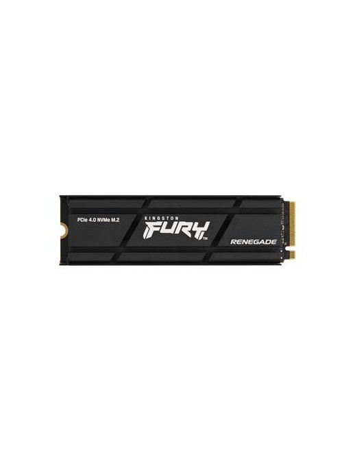 SFYRSK/1000G KT SSD 1T REN.NVMe M2