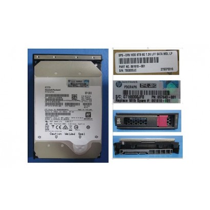 861596-B21 861596-B21 SPS-DRV HDD 8TB 6G 7.2K LFF SATA MDL LP - sostituito con HPE spare part:861610-001