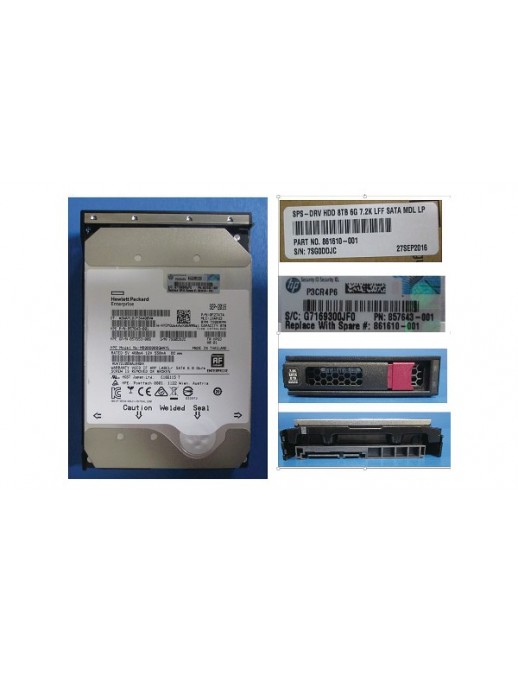 861596-B21 861596-B21 SPS-DRV HDD 8TB 6G 7.2K LFF SATA MDL LP - sostituito con HPE spare part:861610-001