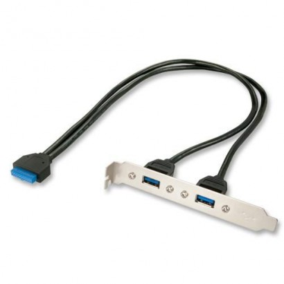 33096 33096 Lindy PC Back Plate, USB 3.0, 2 Port