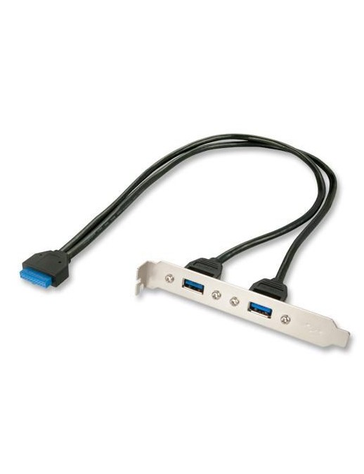 33096 33096 Lindy PC Back Plate, USB 3.0, 2 Port