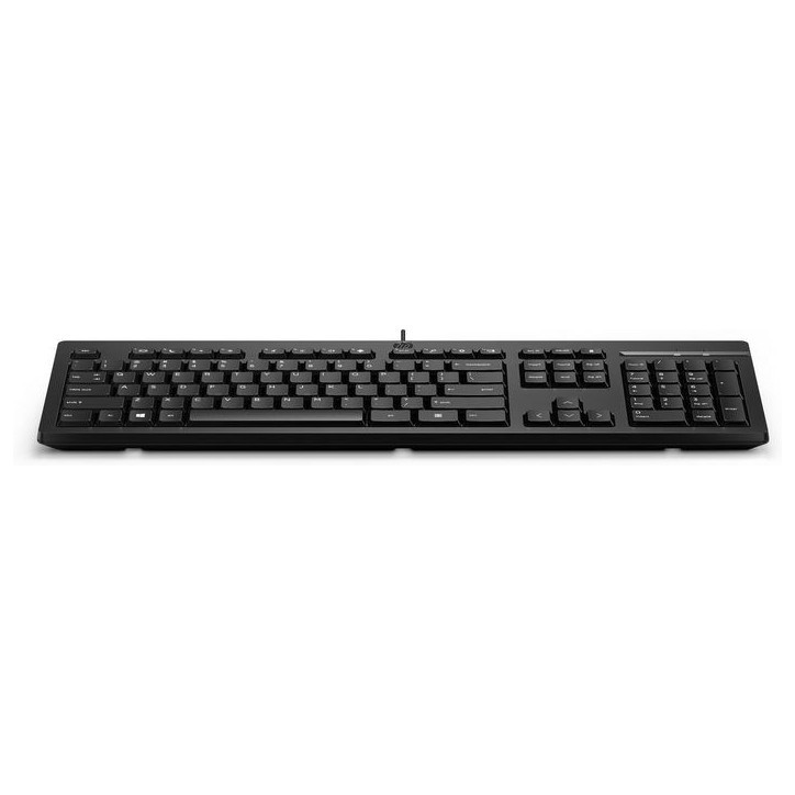 266C9A6ABB HP 125 USB Wired Keyboard Used for all EU countries