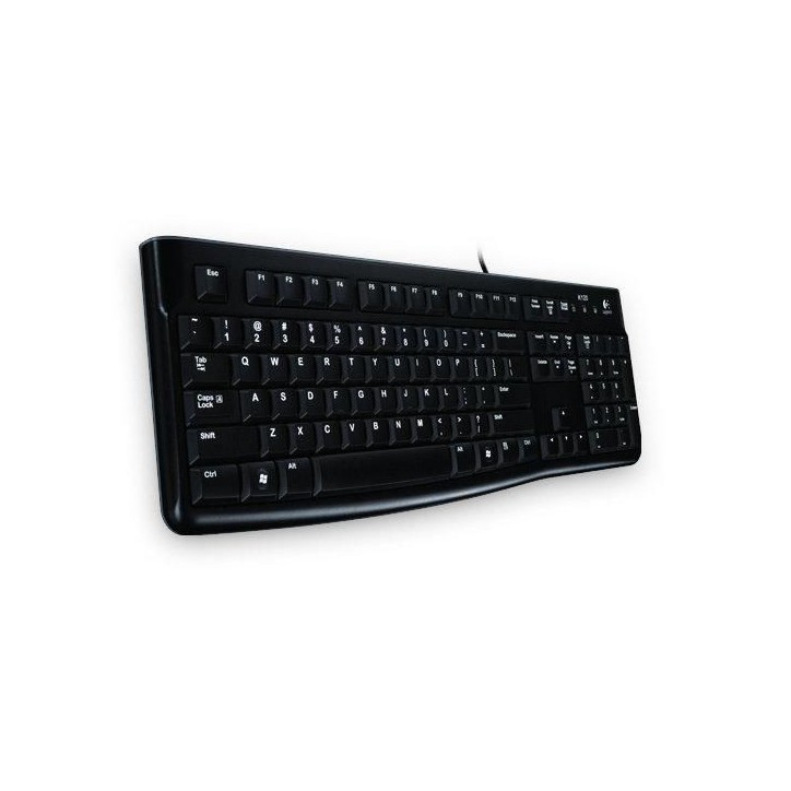 920-002516 Logitech Keyboard K120 for Business 910-001950, 910-003443, 790160 Black