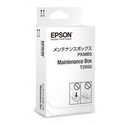 C13T295000 C13T295000 Epson WorkForce WF-100W Maintenance Box