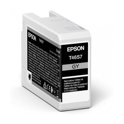 C13T46S700 C13T46S700 Epson Ultrachrome Pro Ink Cartridge 1 Pc(S) Original Grey