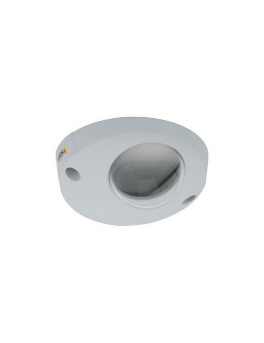 5801-111 5801-111 Axis SPR TOP COVER AXIS P39-R 10 PCS