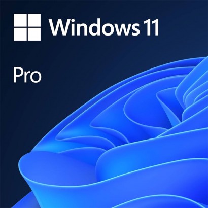 W11 Installazione Sistema Operativo Windows 11 Pro 64 Bit (no licenza)