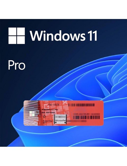 W11+LICENZA Installazione Windows 11 Pro + Chiave Licenza Attivazione COA