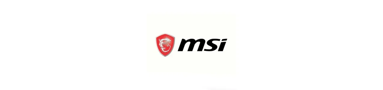 RICAMBI MSI